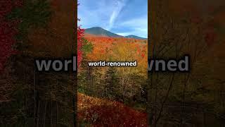 5 fun facts about New Hampshire!! #facts #funfacts #usa #travel #newhampshire #shorts #funknowledge