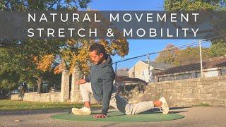 20-minute Daily Movement Practice | Stretch & Mobility