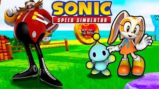 NEW CODENAME & MORE MASSIVE LEAKS! (Sonic Speed Simulator)