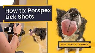 How To: Capture Perspex Lick Shots in Studio | Dog Photography Studio Fun