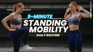 5 Min. Daily Mobility | All Standing Routine - Do This Anywhere | Quick & Easy | No Talking