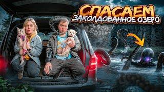 ЗЛЫЕ РУСАЛКИ В РЕАЛЬНОЙ ЖИЗНИ | СПАСАЕМ ЗАКОЛДОВАННОЕ ОЗЕРО С КОТОМ И СОБАКОЙ