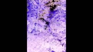 Школа призраков.Трейлер.