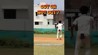 COMMENT - OUT or NOT OUT ?  | NBC Vlog | Nothing But Cricket  #cricket