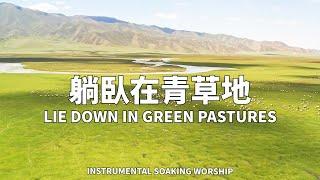 LIE DOWN IN GREEN PASTURES | Piano Music | Soaking | Prayer | 1 HOUR Instrumental Soaking Worship