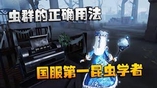 第五人格：大帅观战：虫群的正确用法！国服第一昆虫学者