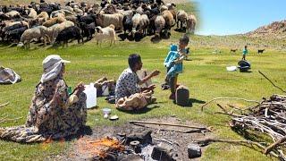️Nomadic migration and adventure in the mountains of Iran|Goat pasturehot breadclear springs