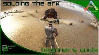 Soloing the Ark S4E2 - Beginner's Guide - First Home/First Tames!