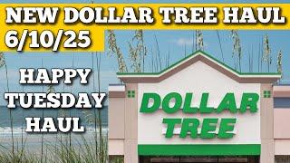 NEW DOLLAR TREE HAUL 6/10/25