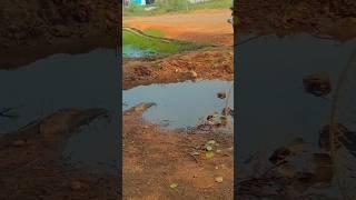 water#shortsyoutube #shorts