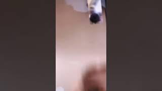 sienna mae locks herself in the bathroom and can't get out