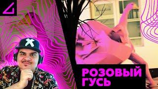 ▷ AContrari – РОЗОВЫЙ ГУСЬ | РЕАКЦИЯ