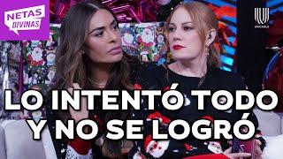 ¡Confesiones! Galilea Montijo y Daniela Magun revelan cómo enfrentaron sus divorcios | Netas Divinas