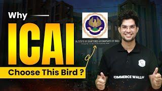 Why ICAI Choose This Bird? Complete Detail || CA Wallah By PW
