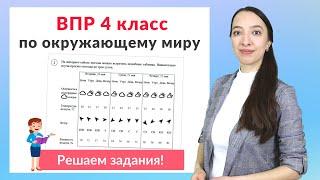 ВПР по окружающему миру 4 класс