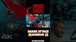 Killer on Boat! Dangerous Animals Horror Twist | Quick Recap  #shorts #shark