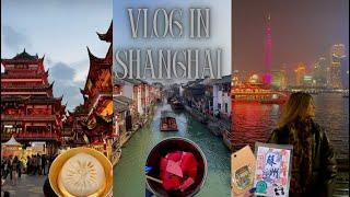 Vlog in Shanghai  - chinese food - day in Suzhou - temples