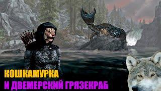 Skyrim | Кошкамурка и Двемерский грязекраб