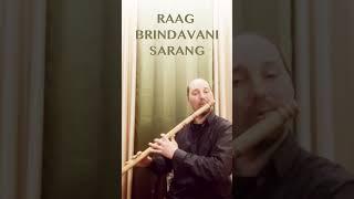 Raag Brindavani Sarang | Joyful Flute Composition