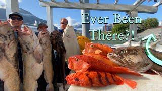 Deep Sea Alaska Fishing for Big Fish in a Secret Lost World! Halibut, Lingcod and Rockfish Catch