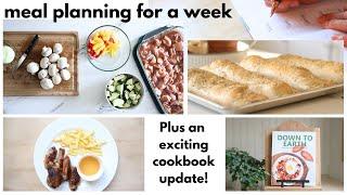 Meal Ideas ~ Weekly Meal Planning ~ Easy Family Recipes ~ Weekly Menu Idea ~ Cooking for the Family