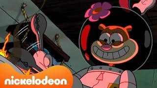 SpongeBob | Sandys merkwürdigste Essensexperimente! | Nickelodeon Deutschland