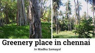 Theosophical Society|சென்னையில் பசுமையான இடம் | Greenery place in Chennai