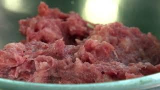 Greyhound care: Meat & Kibble