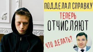 Отчислили за поддельную справку