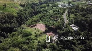 LAND FREEHOLD TEGENUNGAN - UBUD