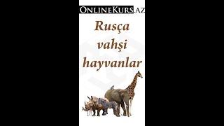 Rusça vahşi hayvanlar