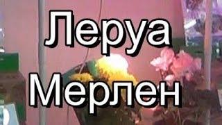Спешите в ЛЕРУА МЕРЛЕН!Завезли НОВИНКИ Дача Ткани/Цветы Коврики АПРЕЛЬ 2019 Leroy Merlin