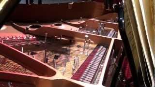 John Cage - Sonata II (from Sonatas and Interludes) - Inara Ferreira, prepared piano