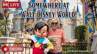 Disney World Resorts/ Parks/ Shows #live  5/21/25