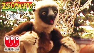 Zoboomafoo | EPISODE COMPILATION: Happy Lemur Day! | Animals For Kids