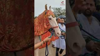 Makke Se Safar Julos Sirsi Sadat Azadari 8 Zilhijj Julos Idara E Hashmi Sirsi #sirsiazadari110
