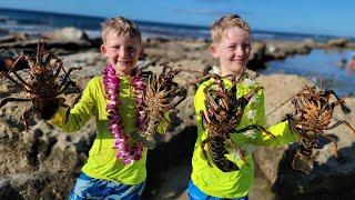 9 Days Fishing & Foraging in Hawaii - Lobster Diving + Spearfishing Catch & Cook