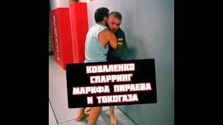 Коваленко vs Мариф Пираев и Токогаз провели спарринг