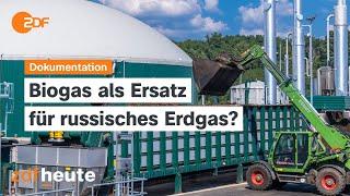 Energie aus Abfall -  Kann Biogas russisches Erdgas ersetzen? | planet e.