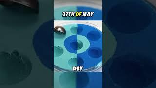 FUN FACTS (27TH OF MAY) #daily #funfacts #facts #learneveryday #staycurious