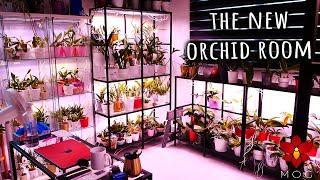 New Orchid Room Mini Tour! - What should we name this one? 