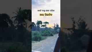 To Katha Bhabile Rati Sara Mora Status ।  #villagelife  #youtubeshorts #short