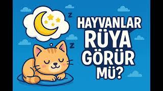 Hayvanlar Rüya Görür Mü? Çok Şaşıracaksın!