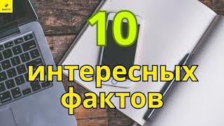 10  САМЫХ ИНТЕРЕСНЫХ ФАКТОВ. ТОП 10