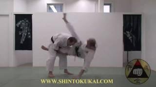 Okinawa Shorin-ryu Karate: Parent Style of Shotokan (clip 1)