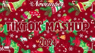 TikTok Mashup November 2024 (Not Clean)