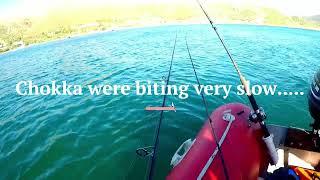 Inflatable Boat Multi - Species Angling in Simonstown, Cape Town