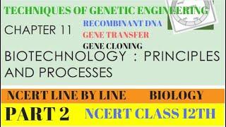 PART-2 RECOMBINANT DNA,GENE CLONING,GENE TRANSFER BIOTECHNOLOGY-PRINCIPLES|CHAPTER 11 CLASS 12TH BIO