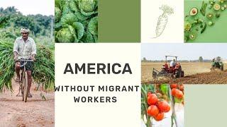 Resilient Migrant Workers, America without Migrant Workers 2024