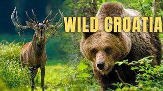 Wild Croatia